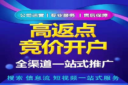 行业领先企业的SEM代运营成功之路